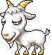 Goat